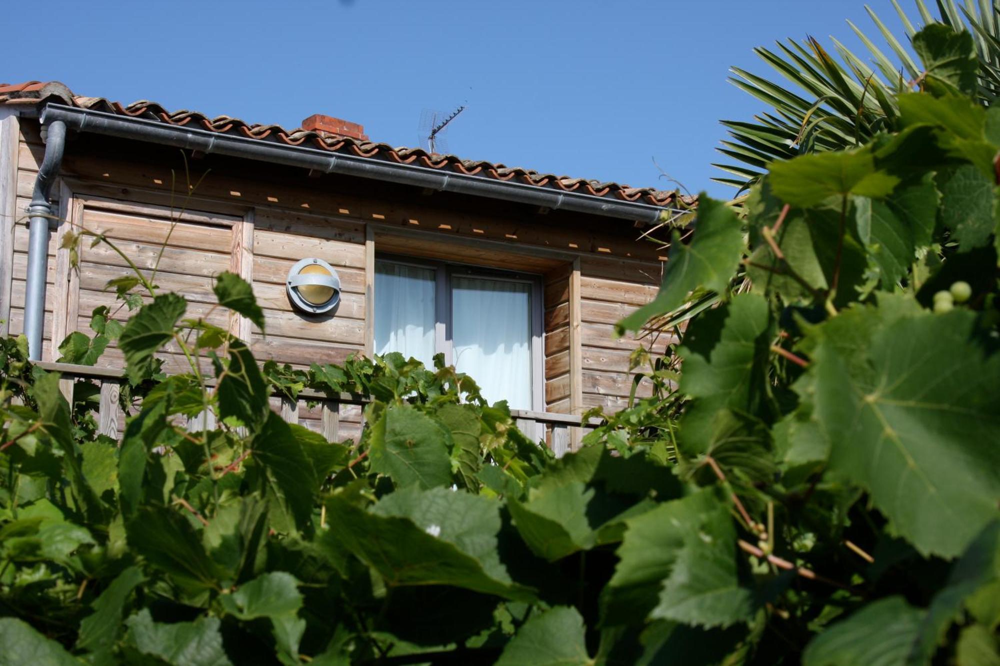 Hotel Le Vieux Greement La Couarde-sur-Mer Exterior photo